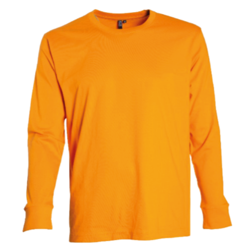 POLERA POLO MANGA LARGA