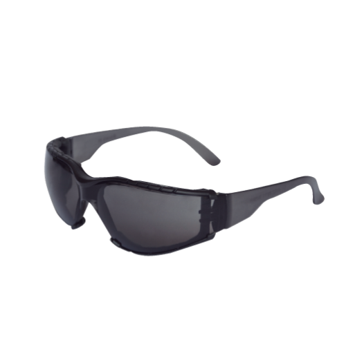 LENTE L600 PRO IN-OUT